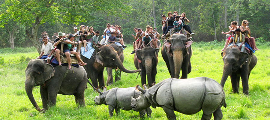 chitwan elephant safari