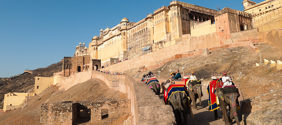 amber fort elephant ride