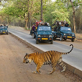 bandhavgarh national park