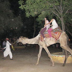 camel rides