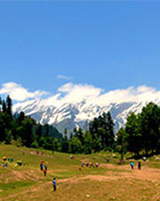 himachal