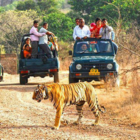 jim corbett national park