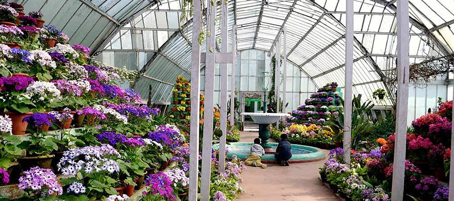 lloyd botanical garden