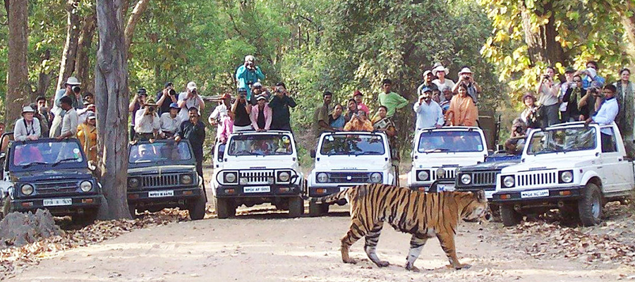 panna national park